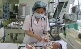 Mang họa vì 'bà đỡ vườn'