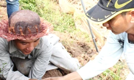 Mùa săn chuột đồng