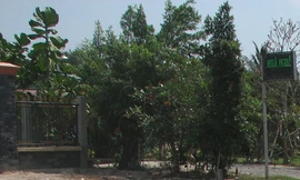 Chi 100 triệu đồng để người tình bỏ chồng