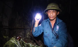 Người dân bám vách đá bắt ốc núi sau cơn mưa đầu mùa