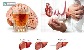 Uống rượu bia thường xuyên: 5 cơ quan nội tạng “bốc hơi” đáng giật mình