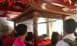 Tiêu bản cụ rùa Hồ Gươm cuối cùng thu hút người dân Thủ đô