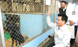 Thị trưởng thành phố Đài Trung Lin Chia-lung thăm một trại nuôi chó hồi năm 2014. Ảnh: Taipei Times 