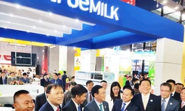 Chiều 11/9/2018, tham dự Hội chợ Trung Quốc - ASEAN 2018 Ủy viên Bộ Chính trị, Phó Thủ tướng Vương Đình Huệ đã tham quan khu trưng bày của TH True MILK. 