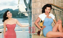 'Biểu tượng gợi cảm' đầu tiên của Hong Kong là ai?