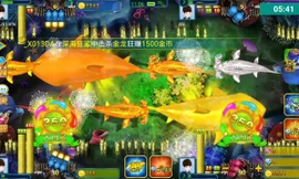 Bản tin 8h: Cháy túi vì bắn cá, gã trai sát hại bà chủ nhà nghỉ