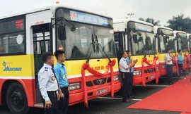 Tuyển dụng lái, phụ xe buýt