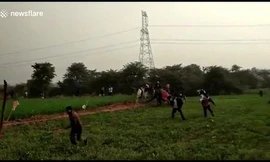 Bị dồn vào đường cùng, báo hoang vồ liên tiếp ba người ở Ấn Độ