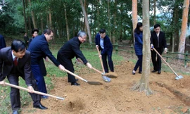 Ông Trần Quốc Vượng, Ủy viên Bộ Chính trị, Thường trực Ban Bí thư trồng cây lưu niệm tại Khu di tích Khuân Điển, xã Kim Quan, huyện Yên Sơn, tỉnh Tuyên Quang. (Ảnh: Quang Cường/TTXVN) 