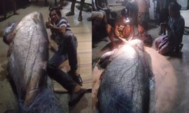 Ngư dân Thái Lan bắt được cá nheo khổng lồ đã 'thành tinh' 