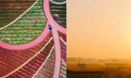 Truyền thông quốc tế ấn tượng với những tác phẩm nhiếp ảnh của Việt Nam