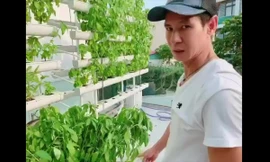 Chiêm ngưỡng vườn rau thủy canh rộng lớn trong biệt thự nhà Lý Hải