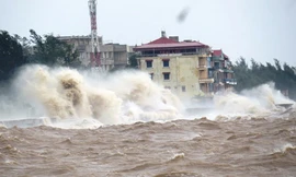 Bản tin 8h: Bão số 9 ảnh hưởng làm nước biển dâng cao 3-4 mét