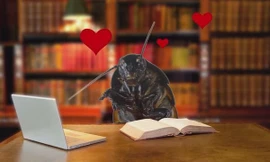 Đặt tên người yêu cũ cho gián dịp Valentine để 'trút giận'