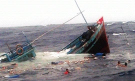 Ảnh chỉ mang tính minh họa