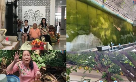 NSND Hồng Vân hé lộ biệt thự rộng lớn có khế trăm tuổi, cá trê 'thành tinh' giữa Sài Gòn