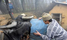 Thời tiết chiều và đêm 11/12: Đông Bắc Bộ rét hại, có nơi dưới 9 độ