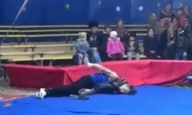 Diễn viên xiếc bị trăn siết cổ, nghi chết tại chỗ