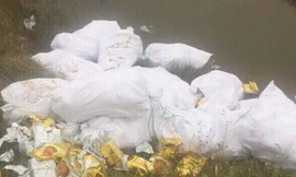 Ba vụ bắt giữ gần 2 tấn ma túy trong loa thùng có 'mối liên hệ' nào với nhau?