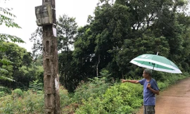 Hàng chục ô đất của dân xã Thanh Đình đã được tách sổ đỏ bất hợp pháp (Ảnh: Tùng Duy). 