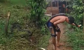 Kinh hãi cảnh người đàn ông tay không vẫn lao vào bắt rắn hổ mang 'khủng'
