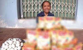 Fan gửi 'tâm thư' yêu cầu con trai để video bà Tân Vlog chân thật như trước