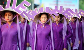 Xung quanh chuyện nón Huế bị 'cắm sừng'