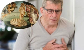 Cụ ông 70 tuổi lên cơn đau tim khi xem tranh Sự ra đời của thần Vệ Nữ