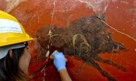 Tìm thấy điện thờ 2.000 năm tuổi nằm im lìm dưới lớp tro bụi núi lửa