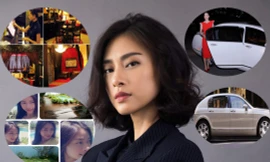 'Đả nữ' Ngô Thanh Vân sở hữu khối tài sản 'khủng' thế nào ở tuổi 40?