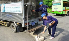 Các đội bắt chó thả rông ở TP.HCM và Hà Nội giờ ra sao?