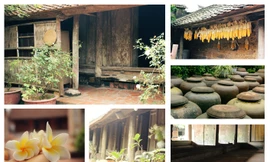 Chiêm ngưỡng vẻ đẹp di sản vẹn nguyên ở làng cổ Đường Lâm 