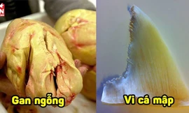 Sự thật không tưởng về 4 món ăn, thức uống đắt đỏ nhất thế giới