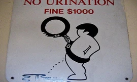 Ở đất nước này, xả rác, tiểu bậy bị phạt 16 triệu đồng