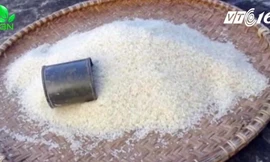 Nhận biết gạo chứa hóa chất bảo quản sinh học