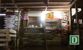 Nhà hầm kỳ dị dựng bằng 5 nghìn bao cát ở Hà Nội