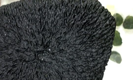 Cú lừa đồng đen dỏm “60 triệu USD/kg”