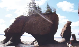 Khủng long khổng lồ (khi nước rút)