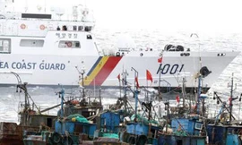 Hàn Quốc bắt 21 tàu cá Trung Quốc đánh bắt trái phép
