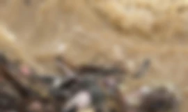 Phát hiện thi thể mắc kẹt dưới chân đập thủy điện ở Tuyên Quang