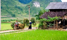 GS Võ nói, nếu không xóa bỏ thời hạn giao đất nông nghiệp, không thể kêu gọi đầu tư lớn từ người dân Ảnh: Hồng Vĩnh