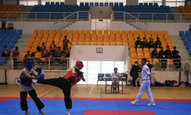 Các vận động viên tranh tài 21 bộ huy chương ở 2 nội dung đối kháng và quyền thuật.