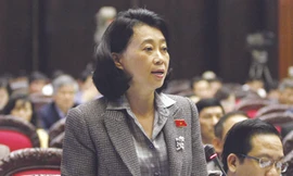 Có thể sẽ xem xét tư cách ĐB Đặng Thị Hoàng Yến