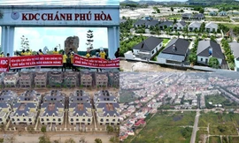 Giá biệt thự vẫn neo cao giữa lúc thị trường trầm lắng, dân trắng tay vì mua đất dự án 'ma'