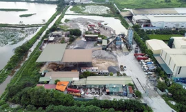 Gần 20 năm 'ôm đất' siêu dự án nhà ở sinh thái Đồng Mai thành nơi chăn bò, trạm bê tông 'lậu'