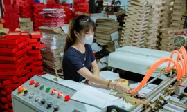 Nosava - Thương hiệu đột phá trong ngành công nghiệp bao bì