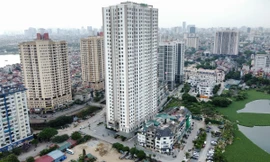 Luật kinh doanh BĐS mới: Quy định chi tiết dữ liệu về nhà ở và thị trường BĐS