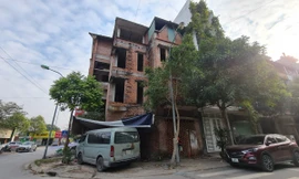 Tuổi xây nhà năm Quý Mão 2023 đẹp nhất, mang nhiều may mắn cho gia chủ