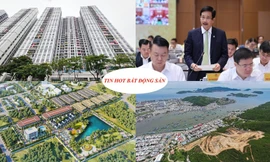 Tranh chấp chung cư bùng nổ, loạt 'ông lớn' địa ốc tiếp tục kiến nghị gỡ khó 