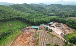 Chính phủ gỡ vướng trong chuyển mục đích sử dụng rừng 